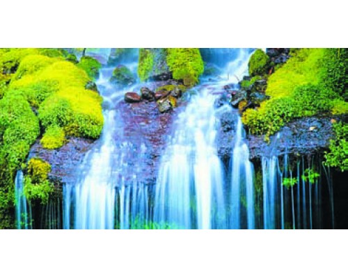 Desk Calendar DC14